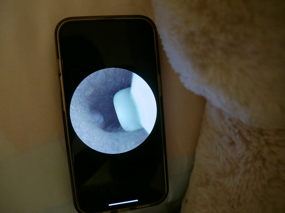 [啾團] bebird無線影像掏耳器C3 Pro讓耳根清淨,結合影像讓自己掏耳也清晰可見