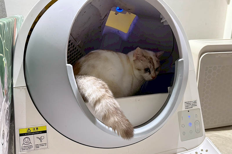 [啾團] 毛怪樂園，心製作毛小孩產品，把營利救更多受虐貓咪送養貓的用心品牌,貓飼料挑選方法分享(貓砂/主食餐包/凍乾鮮糧/凍乾)