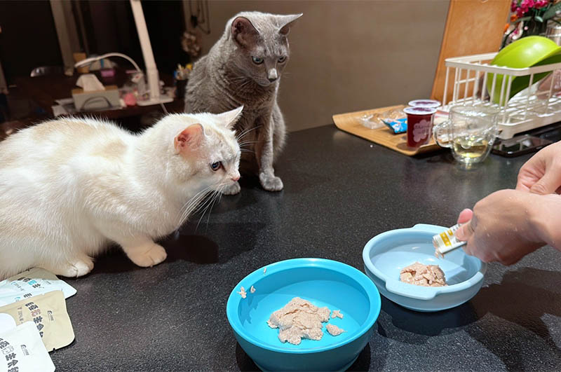 [啾團] 毛怪樂園，心製作毛小孩產品，把營利救更多受虐貓咪送養貓的用心品牌,貓飼料挑選方法分享(貓砂/主食餐包/凍乾鮮糧/凍乾)