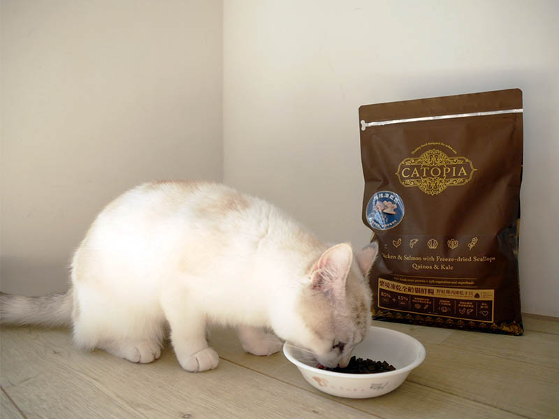 [啾團] 毛怪樂園，心製作毛小孩產品，把營利救更多受虐貓咪送養貓的用心品牌,貓飼料挑選方法分享(貓砂/主食餐包/凍乾鮮糧/凍乾)