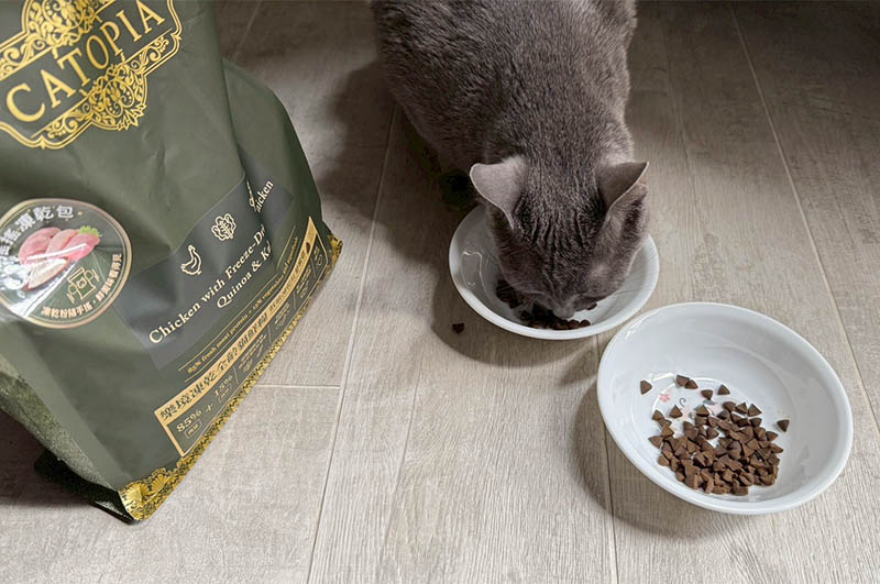 [啾團] 毛怪樂園，心製作毛小孩產品，把營利救更多受虐貓咪送養貓的用心品牌,貓飼料挑選方法分享(貓砂/主食餐包/凍乾鮮糧/凍乾)