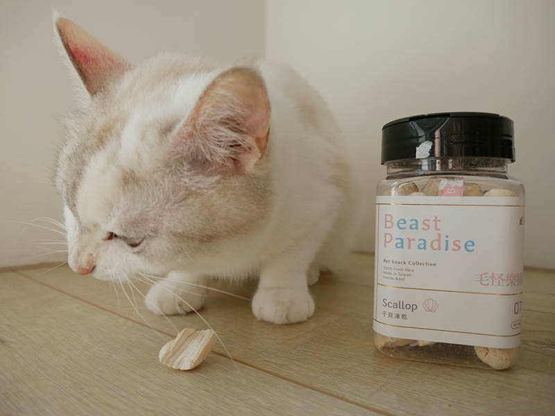 [啾團] 毛怪樂園，心製作毛小孩產品，把營利救更多受虐貓咪送養貓的用心品牌,貓飼料挑選方法分享(貓砂/主食餐包/凍乾鮮糧/凍乾)