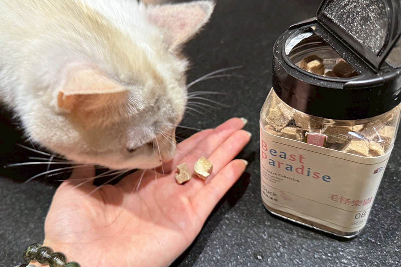 [啾團] 毛怪樂園，心製作毛小孩產品，把營利救更多受虐貓咪送養貓的用心品牌,貓飼料挑選方法分享(貓砂/主食餐包/凍乾鮮糧/凍乾)