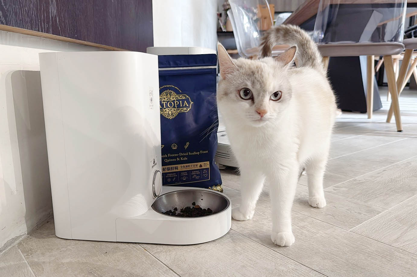 [啾團] 毛怪樂園，心製作毛小孩產品，把營利救更多受虐貓咪送養貓的用心品牌,貓飼料挑選方法分享(貓砂/主食餐包/凍乾鮮糧/凍乾)