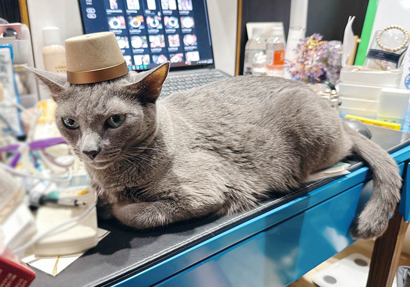 [啾團] Momax 1-Vibe Go小小一顆大大威力,迷你磁吸支架無線音箱(可攜式喇叭/無線藍牙喇叭)